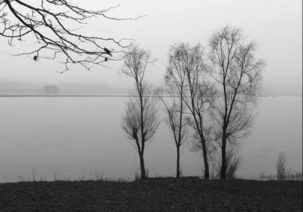張志輝黑白風景攝影 靈.靜山水