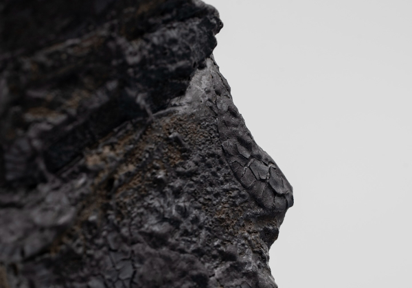 《岩語》 —  香港陶作家聯展