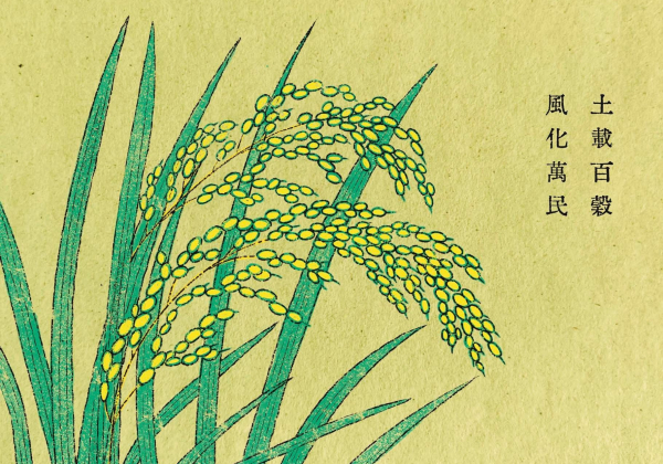 處暑｜打住暑氣的節氣