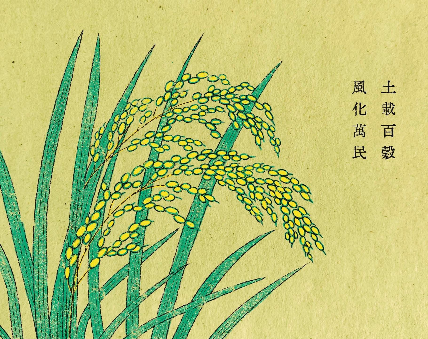 秋分來｜晝夜均分