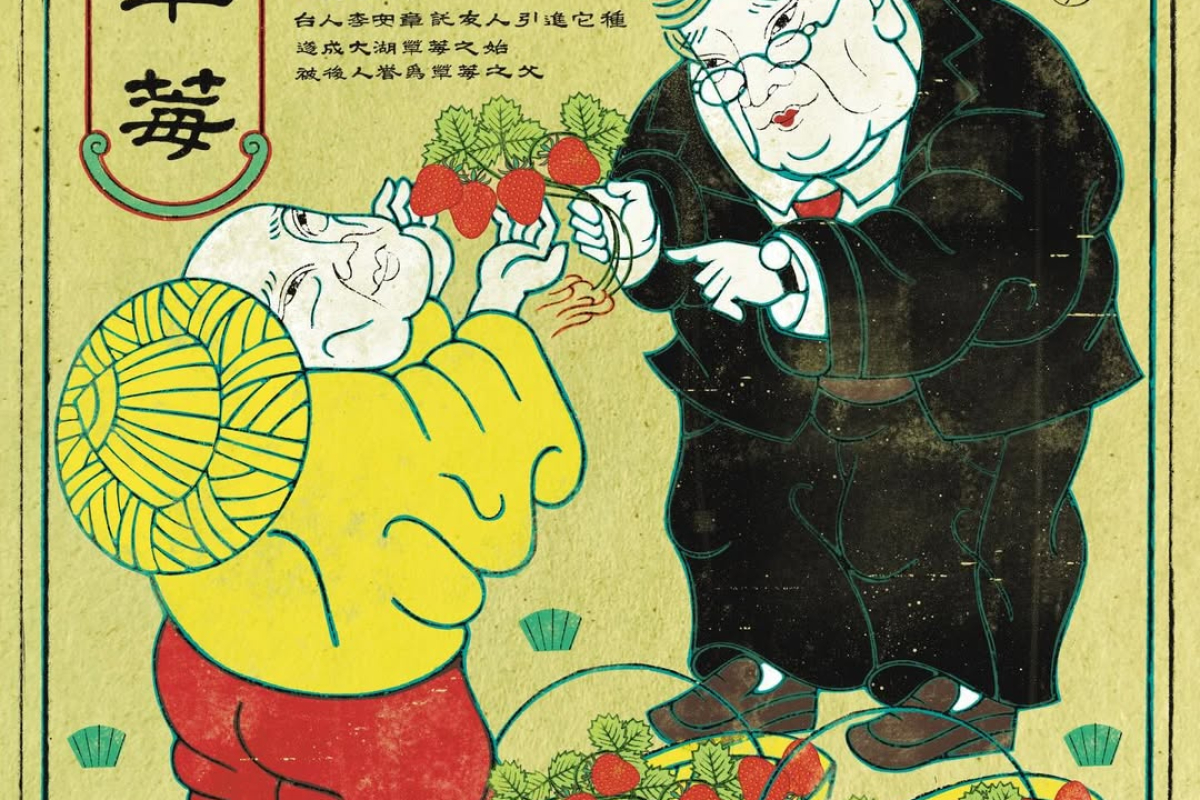 莓好日常｜台灣草莓的身世