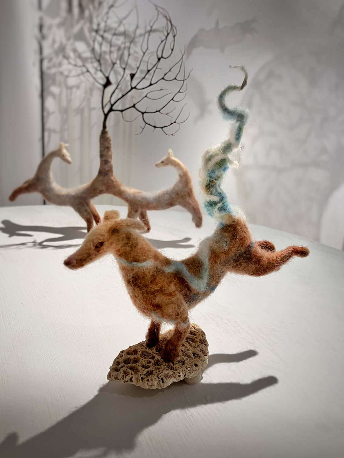 作品 < 願你酷得像風野得像狗 >