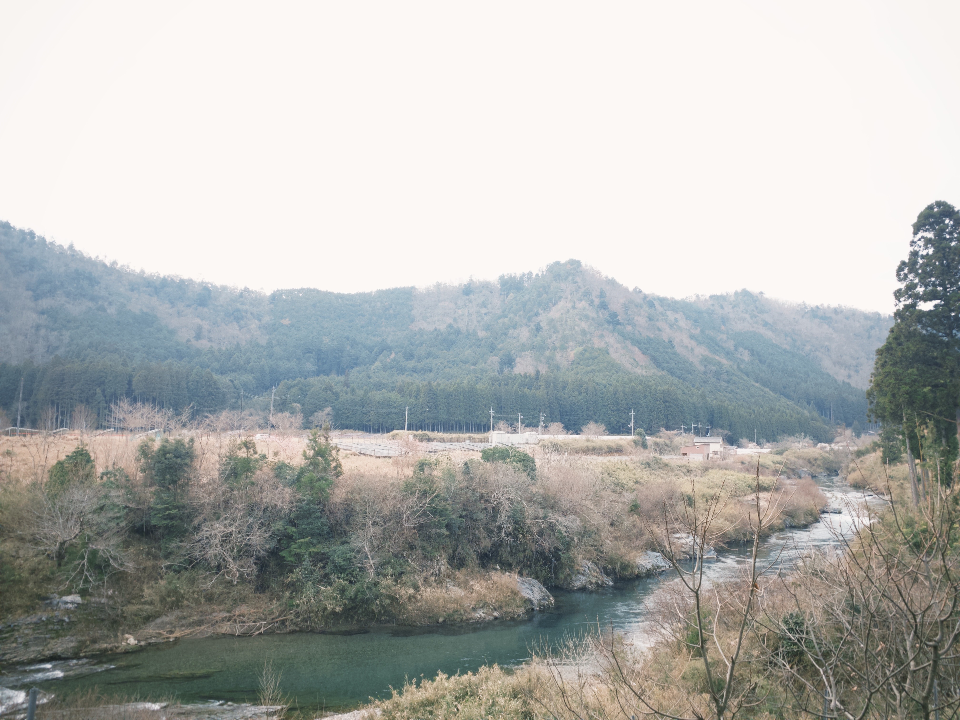 808D30D6 1924 4697 BBEA FF8756E7EA26