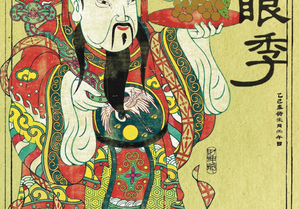 龍眼｜夏末珍果