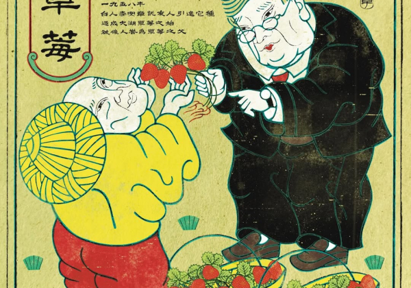 莓好日常｜台灣草莓的身世