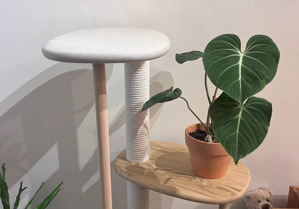KARIMOKU CAT TREE 貓跳台開箱組裝
