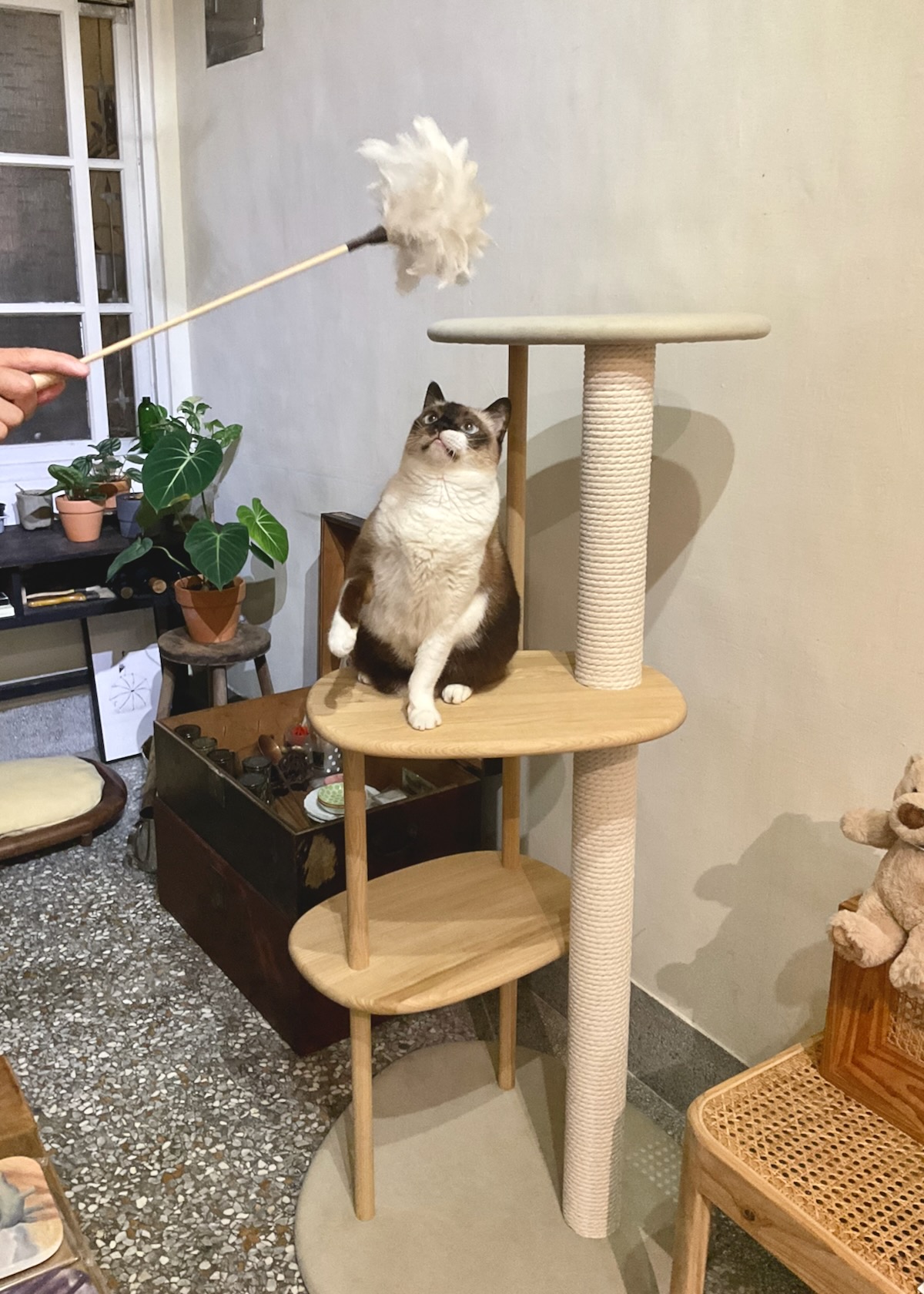 KARIMOKU CAT TREE 貓跳台