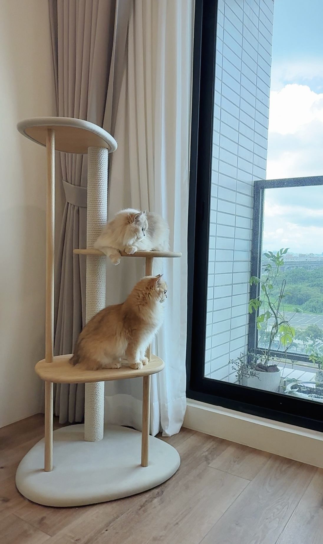 KARIMOKU CAT 實木貓跳台客戶使用實例