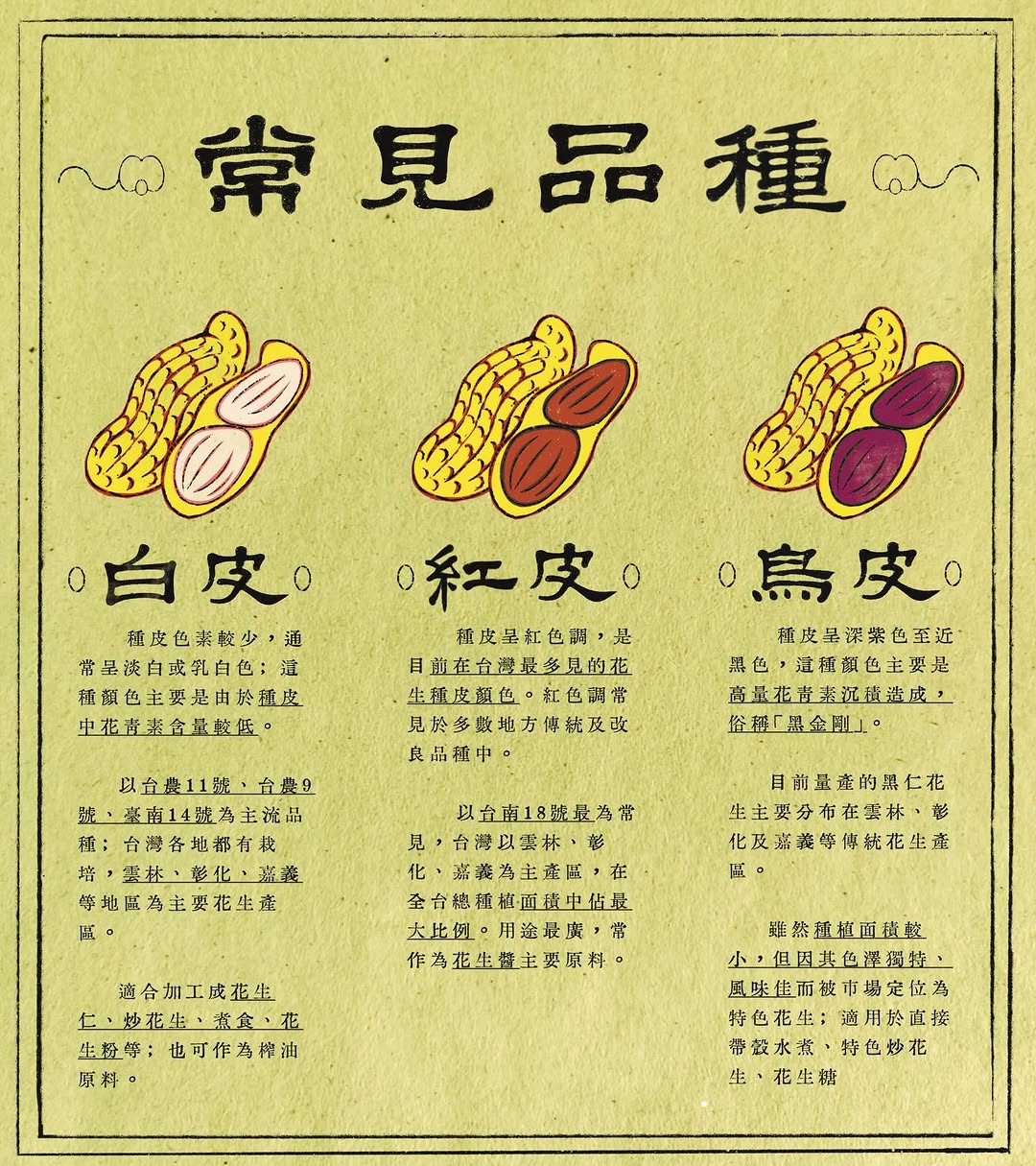 落花生｜秋收冬藏